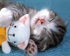 Аватар для masha382@list.ru